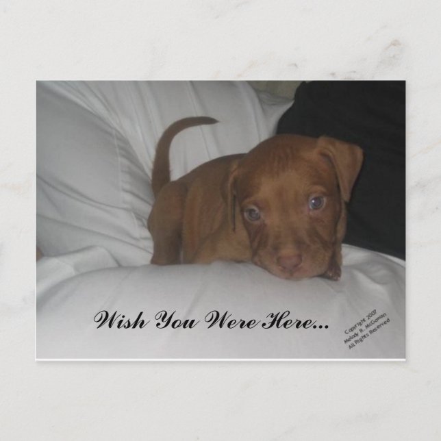 Önskar att du var här... vykort (Framsida)