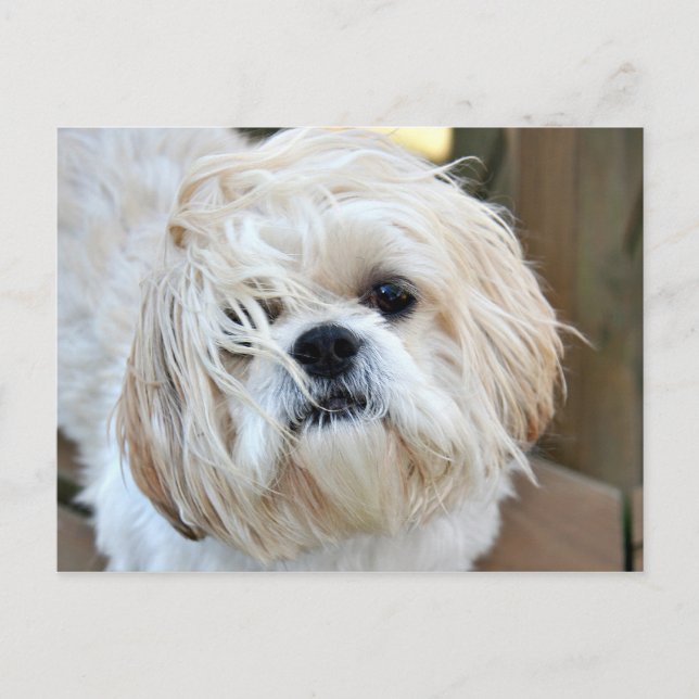 önskar att du var här vykort (Framsida)