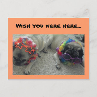 Önskar att du var här...vykort vykort