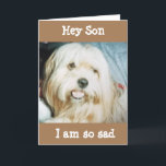 ÖNSKAR DET I PERSON SON "GRATTIS PÅ FÖDELSEDAGEN" KORT<br><div class="desc">TACK FÖR ATT VI STOPPADE AV ETT AV MINA ÅTTA STOPPAR!!!!!!</div>