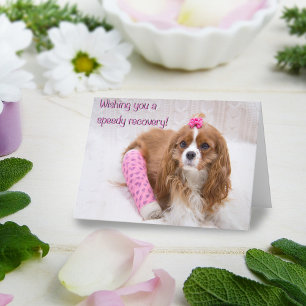 Önskar dig en snabb återhämtning Spaniel-kort Kort
