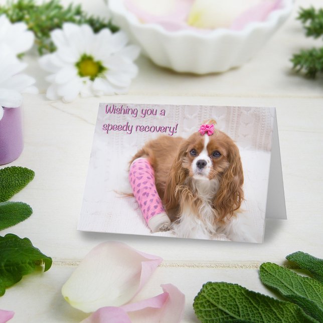 Önskar dig en snabb återhämtning Spaniel-kort Kort (Skapare uppladdad)