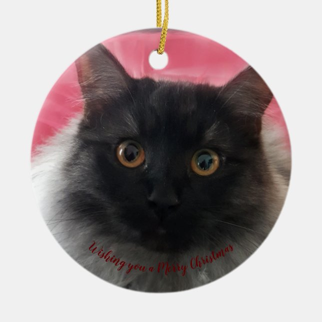 Önskar dig en svart silver-ragdoll i God jul Julgransprydnad Keramik (Framsidan)