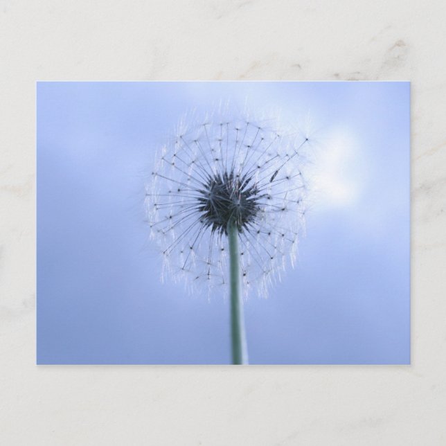 Önskar drömmar vykort (Framsida)