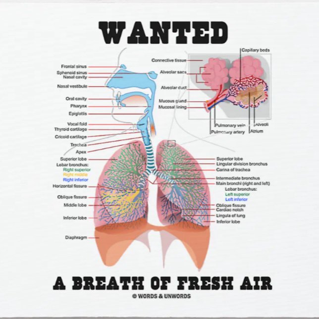 Önskar en andedräkt av färsk Luft (andningssysteme Musmatta (Respiratory system attitude mousepad featuring the medical saying: "Wanted A Breath Of Fresh Air")