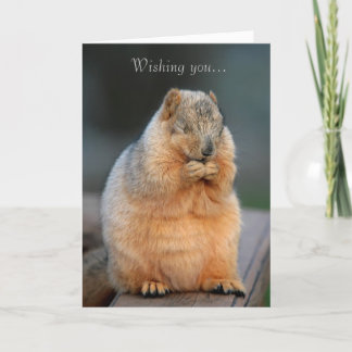 Önskar en snabb återhämtning - Cute Squirrel-kort Kort