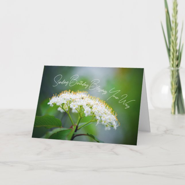 Önskar födelsedagsglädje med vita blommor kort (Framsida)