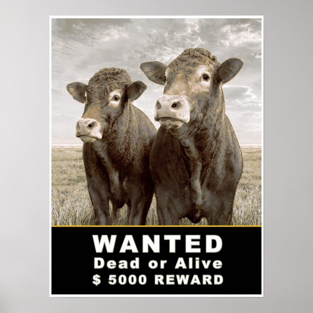 ÖNSKAT DÖD ELLER Alive $ 5000 REWARD Poster (Framsidan)