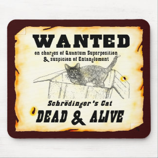 "ÖNSKAT: Schrodingers katt" Mousepad Musmatta