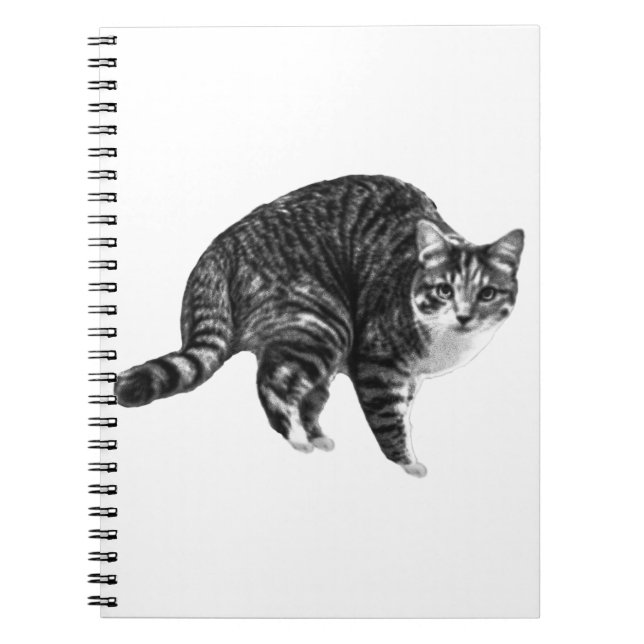 Önskelista Tabby-sidor Anteckningsbok (Framsidan)