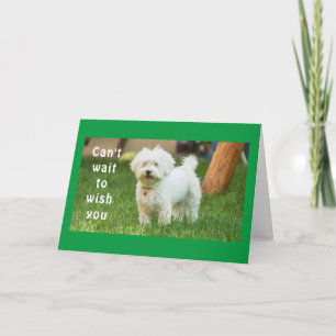 **ÖNSKEMÅL FÖR DEN BÄSTA BIRTHDAY NÅGONSIN** KORT