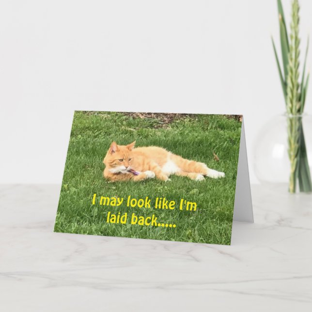 ÖNSKEMÅL FÖR ETT MYCKET ***GRATTIS PÅ FÖDELSEDAGEN KORT (Framsida)