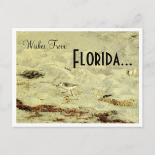 Önskemål från, Florida.. Vykort