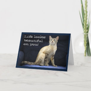 Önskemål från Gorgous Cat på Blå stol Kort