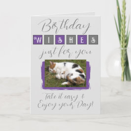 Önskemål lägger till grått-lila för kattfoto kort