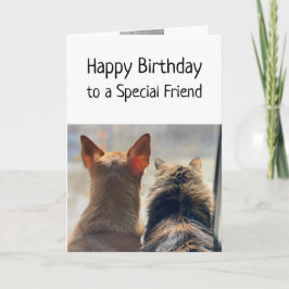 Önskemål Speciella friendjur Pets från födelsedage Kort