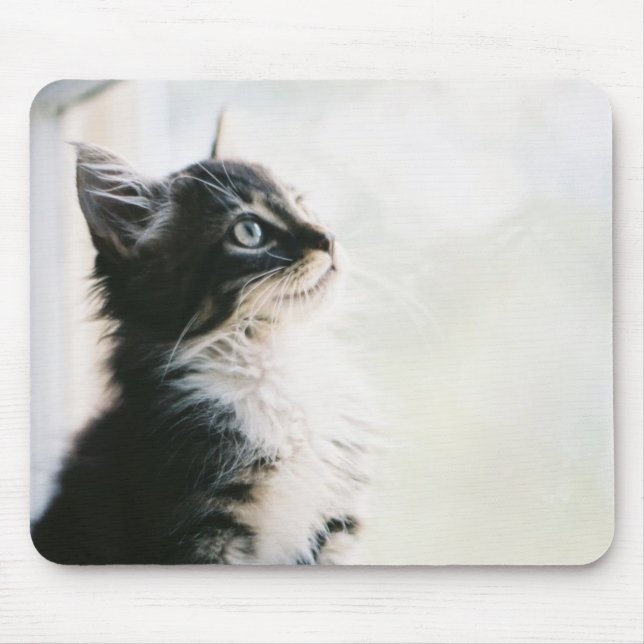 Önsketänkande Musmatta (Framsidan)