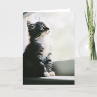 Önsketänkandehälsningkort Kort