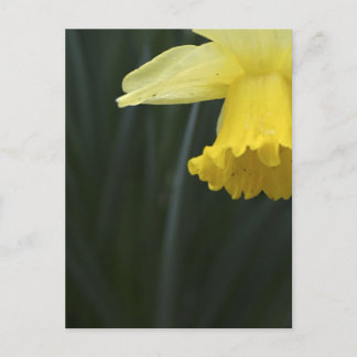 Önskning av vykort för väder