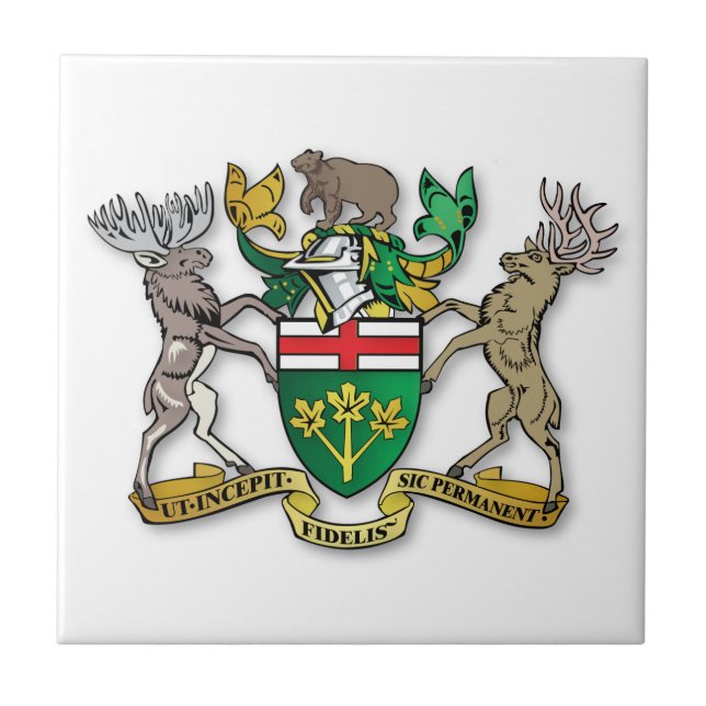 Ontario jackar av arm kakelplatta (Framsidan)