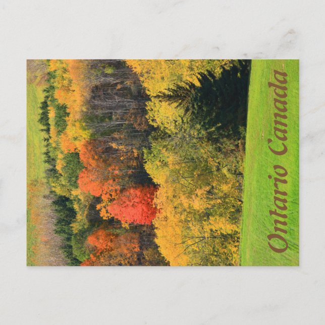 Ontario Kanada vykort (Framsida)