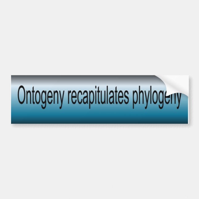 Ontogeny Recapitulate Phylogeny Bildekal (Framsidan)