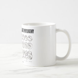 Ontogeny Recapitulates Phylogeny (biologi) Kaffemugg