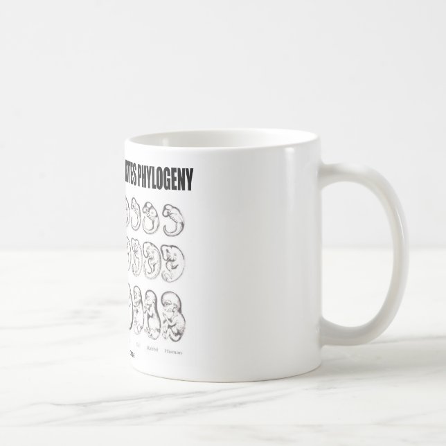 Ontogeny Recapitulates Phylogeny (biologi) Kaffemugg (Höger)