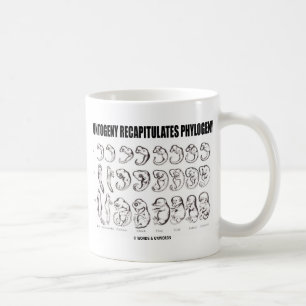 Ontogeny Recapitulates Phylogeny (biologi) Kaffemugg