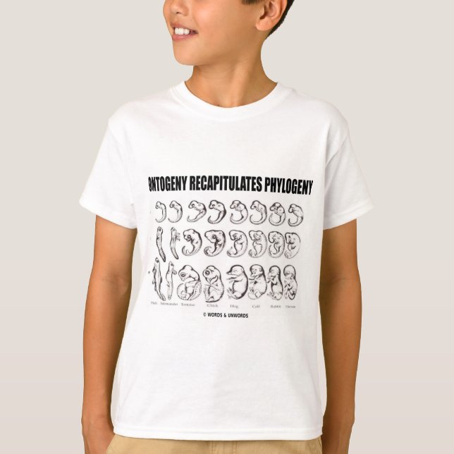 Ontogeny Recapitulates Phylogeny (biologi) Tee (Framsida)