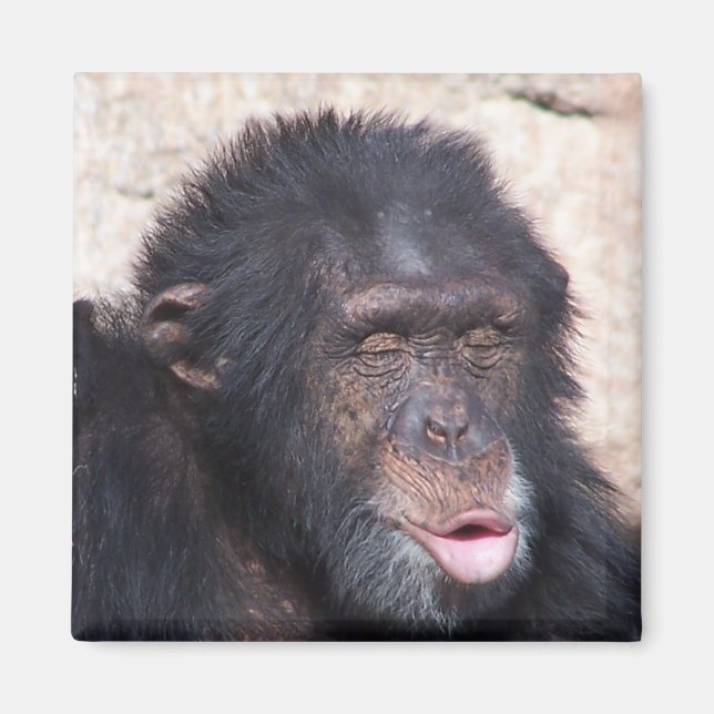 oo oo oo oo roligt ansikte magnet (Framsidan)