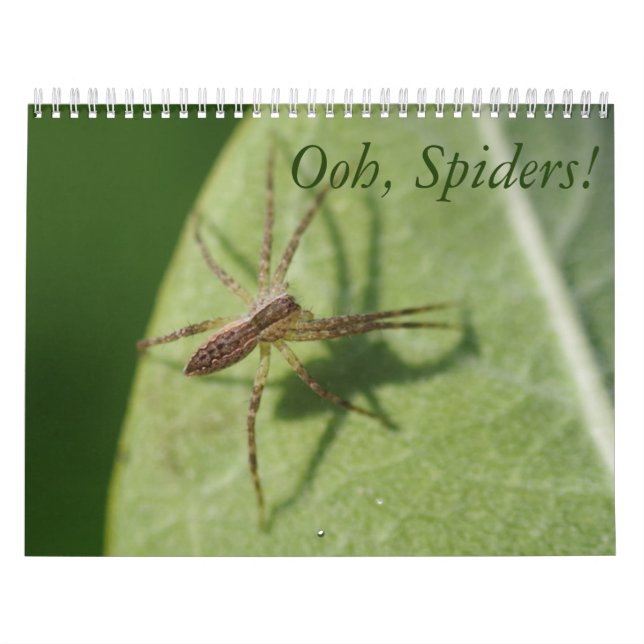 Ooh spindlar! Kalender (Omslag)