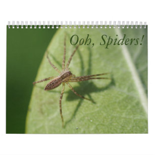 Ooh spindlar! Kalender