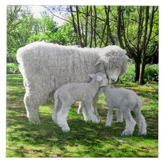 "Oona & Hennes Twillingar" Kakelplatta