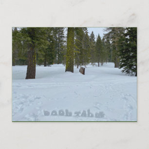 Oooh Tahoe Forest Vykort