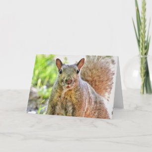 Oop jag missat ditt födelsedagskort kort