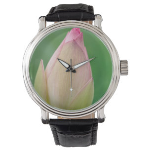 Oöppnad vattenliljeknöl, Durban Botanical Armbandsur