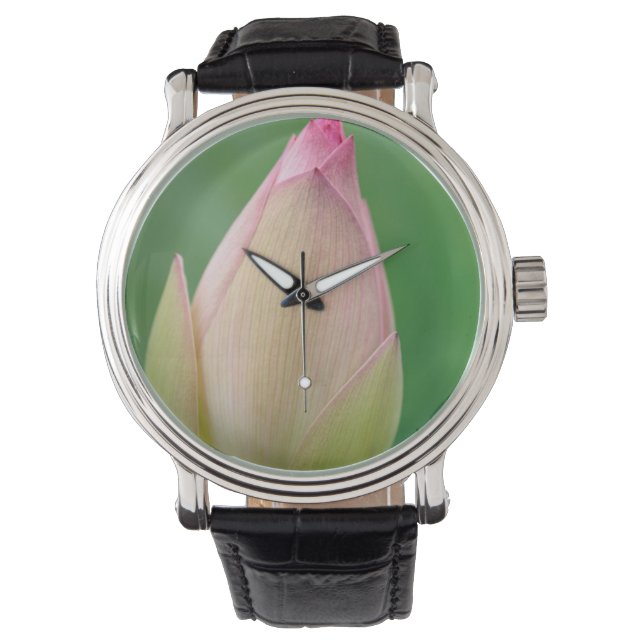 Oöppnad vattenliljeknöl, Durban Botanical Armbandsur (Framsida)