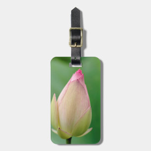 Oöppnad vattenliljeknöl, Durban Botanical Bagagebricka