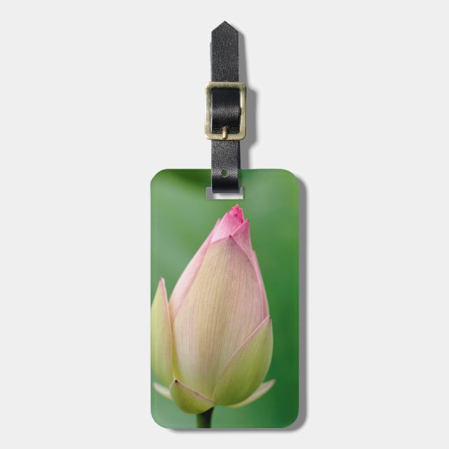 Oöppnad vattenliljeknöl, Durban Botanical Bagagebricka (Vertikal Framsida)