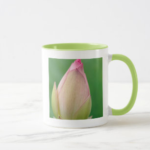 Oöppnad vattenliljeknöl, Durban Botanical Mugg