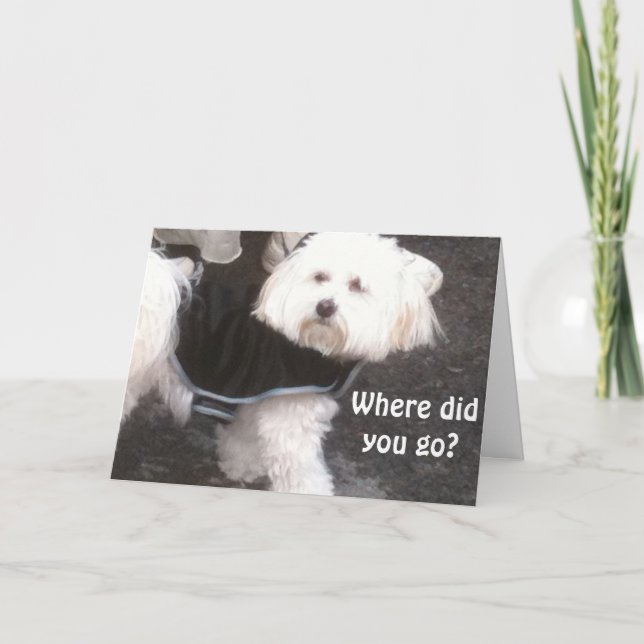 OOPS, GLÖMT DIN BIRTHDAY KORT (Framsida)