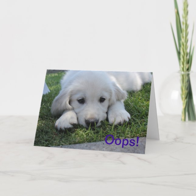 Oops kort för ursäkt för I-förmiddag ledset (Framsida)