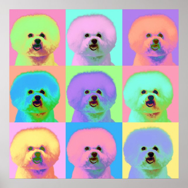 Op Art - Bichon Frise - Cody Poster (Framsidan)