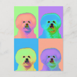 Op Art - Bichon Frise - Cody Vykort