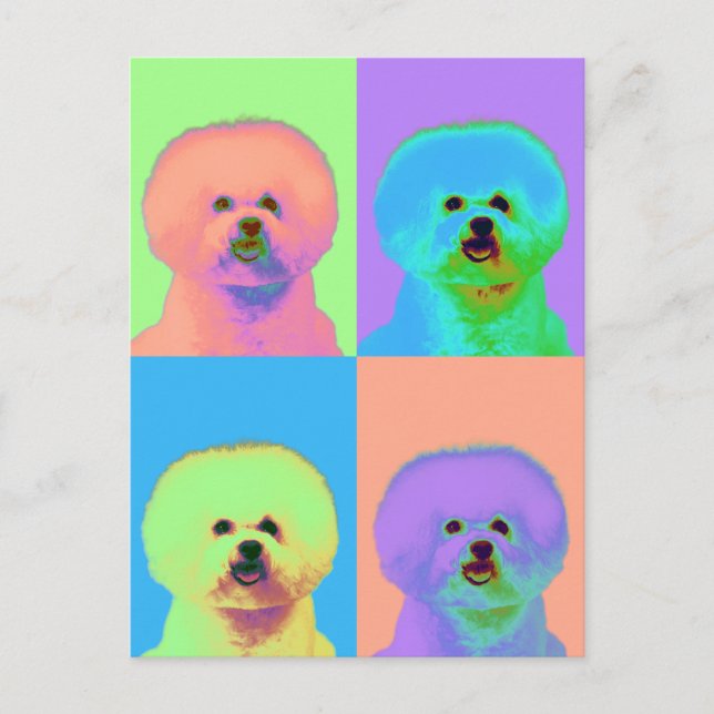 Op Art - Bichon Frise - Cody Vykort (Framsida)