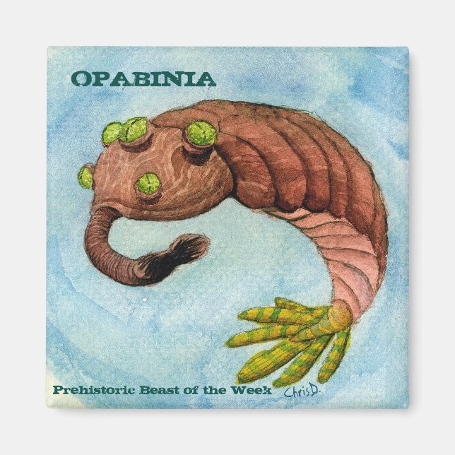 Opabinia Magnet (Framsidan)