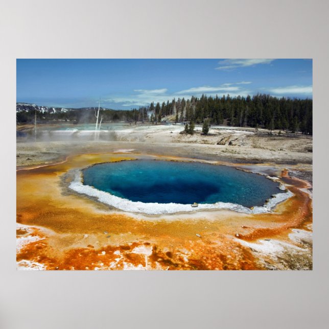 Opal Bassäng Poster (Framsidan)