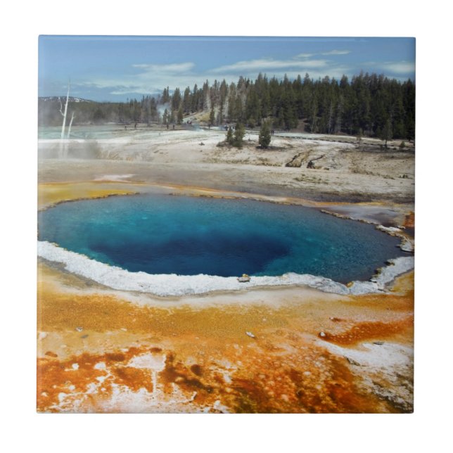 Opalbassäng Kakelplatta (Framsidan)