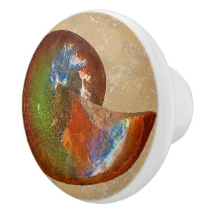 Opalized Sphenodiscus Lenticularis Ammoniteknoppar Knopp